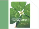Lecture Principles of Management: Chapter 17 - Charles W.L.Hill, Steven L. McShane