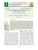 Bio-ecology and management of Citrus psylla, Diaphorina citri Kuwayama on Citrus - A Review