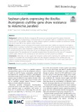 Soybean plants expressing the Bacillus thuringiensis cry8-like gene show resistance to Holotrichia parallela