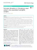 Fast gene disruption in Trichoderma reesei using in vitro assembled Cas9/gRNA complex