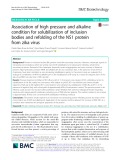 Association of high pressure and alkaline condition for solubilization of inclusion bodies and refolding of the NS1 protein from zika virus