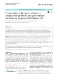Fermentation of lactose to ethanol in cheese whey permeate and concentrated permeate by engineered Escherichia coli