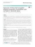 Expression of Vitreoscilla hemoglobin enhances production of arachidonic acid and lipids in Mortierella alpina