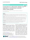 Construction of a trifunctional cellulase and expression in Saccharomyces cerevisiae using a fusion protein