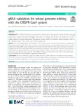 gRNA validation for wheat genome editing with the CRISPR-Cas9 system