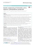 Genetic engineering of Escherichia coli to improve L-phenylalanine production