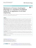 Maintenance of human chondrogenic phenotype on a dendrimer-immobilized surface for an application of cell sheet engineering