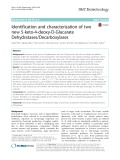 Identification and characterization of two new 5-keto-4-deoxy-D-Glucarate Dehydratases/Decarboxylases