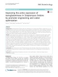 Improving the active expression of transglutaminase in Streptomyces lividans by promoter engineering and codon optimization