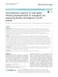 Transcriptomic response of wolf spider, Pardosa pseudoannulata, to transgenic rice expressing Bacillus thuringiensis Cry1Ab protein