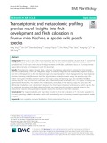 Transcriptomic and metabolomic profiling provide novel insights into fruit development and flesh coloration in Prunus mira Koehne, a special wild peach species