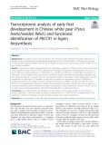 Transcriptomic analysis of early fruit development in Chinese white pear (Pyrus bretschneideri Rehd.) and functional identification of PbCCR1 in lignin biosynthesis