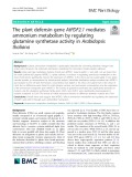 The plant defensin gene AtPDF2.1 mediates ammonium metabolism by regulating glutamine synthetase activity in Arabidopsis thaliana