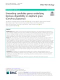Unraveling candidate genes underlying biomass digestibility in elephant grass (Cenchrus purpureus)