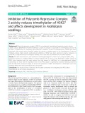 Inhibition of Polycomb Repressive Complex 2 activity reduces trimethylation of H3K27 and affects development in Arabidopsis seedlings
