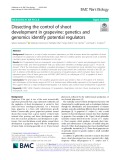 Dissecting the control of shoot development in grapevine: Genetics and genomics identify potential regulators