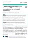 A MYB-related transcription factor from sheepgrass, LcMYB2, promotes seed germination and root growth under drought stress