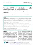 The cotton GhWIN2 gene activates the cuticle biosynthesis pathway and influences the salicylic and jasmonic acid biosynthesis pathways