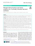 Nitrogen-fixing bacteria and Oxalis – evidence for a vertically inherited bacterial symbiosis