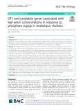 QTL and candidate genes associated with leaf anion concentrations in response to phosphate supply in Arabidopsis thaliana