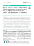 Ectopic expression of citrus UDP-GLUCOSYL TRANSFERASE gene enhances anthocyanin and proanthocyanidins contents and confers high light tolerance in Arabidopsis