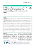 Zn/Cd status-dependent accumulation of Zn and Cd in root parts in tobacco is accompanied by specific expression of ZIP genes