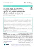 Disruption of the Lotus japonicus transporter LjNPF2.9 increases shoot biomass and nitrate content without affecting symbiotic performances