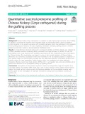 Quantitative succinyl-proteome profiling of Chinese hickory (Carya cathayensis) during the grafting process