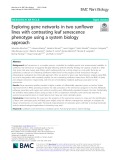 Exploring gene networks in two sunflower lines with contrasting leaf senescence phenotype using a system biology approach