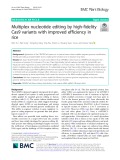 Multiplex nucleotide editing by high-fidelity Cas9 variants with improved efficiency in rice