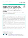 Metabolite profiling during graft union formation reveals the reprogramming of primary metabolism and the induction of stilbene synthesis at the graft interface in grapevine