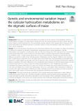 Genetic and environmental variation impact the cuticular hydrocarbon metabolome on the stigmatic surfaces of maize