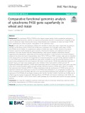 Comparative functional genomics analysis of cytochrome P450 gene superfamily in wheat and maize