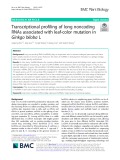 Transcriptional profiling of long noncoding RNAs associated with leaf-color mutation in Ginkgo biloba L