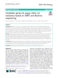 Candidate genes for grape white rot resistance based on SMRT and Illumina sequencing