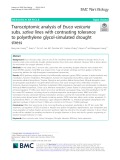 Transcriptomic analysis of Eruca vesicaria subs. sativa lines with contrasting tolerance to polyethylene glycol-simulated drought stress