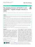 The interplay between miR156/SPL13 and DFR/WD40–1 regulate drought tolerance in alfalfa