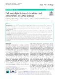 Full moonlight-induced circadian clock entrainment in Coffea arabica