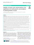 Stability of petal color polymorphism: The significance of anthocyanin accumulation in photosynthetic tissues