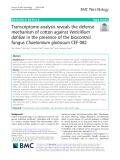 Transcriptome analysis reveals the defense mechanism of cotton against Verticillium dahliae in the presence of the biocontrol fungus Chaetomium globosum CEF-082