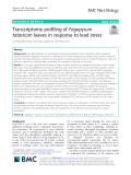 Transcriptome profiling of Fagopyrum tataricum leaves in response to lead stress