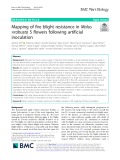 Mapping of fire blight resistance in Malus ×robusta 5 flowers following artificial inoculation