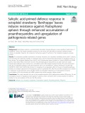 Salicylic acid-primed defence response in octoploid strawberry ‘Benihoppe’ leaves induces resistance against Podosphaera aphanis through enhanced accumulation of proanthocyanidins and upregulation of pathogenesis-related genes