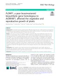 PcDWF1, a pear brassinosteroid biosynthetic gene homologous to AtDWARF1, affected the vegetative and reproductive growth of plants