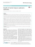 Growth of marine fungi on polymeric substrates