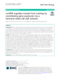 LncRNA regulates tomato fruit cracking by coordinating gene expression via a hormone-redox-cell wall network