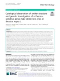 Cytological observation of anther structure and genetic investigation of a thermosensitive genic male sterile line 373S in Brassica napus L