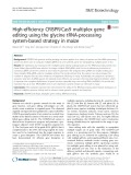 High-efficiency CRISPR/Cas9 multiplex gene editing using the glycine tRNA-processing system-based strategy in maize