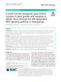 A novel sucrose transporter gene IbSUT4 involves in plant growth and response to abiotic stress through the ABF-dependent ABA signaling pathway in Sweetpotato