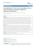 Saccharification of rice straw by cellulase from a local Trichoderma harzianum SNRS3 for biobutanol production